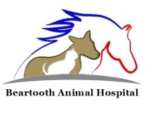 Beartooth-Animal-Hospital-logo.jpg