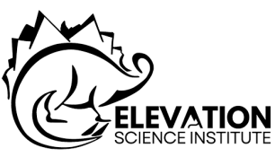 Elevation-Science-Logo